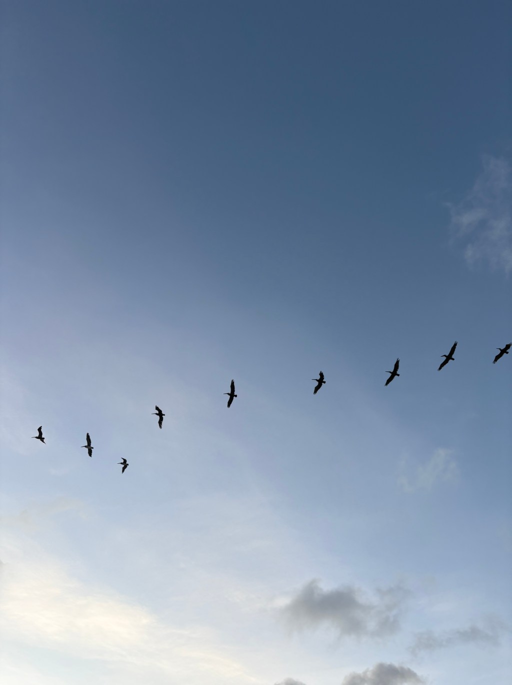 Welcome to my blog :)